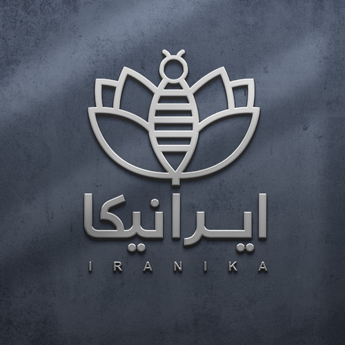 طراحی لوگو شرکتی ، طراحی سریع ، طراح بسته بندی محصولات ، طراحی لوگو شرکت ایرانیکا